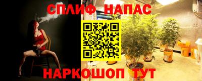 сатива Балахна