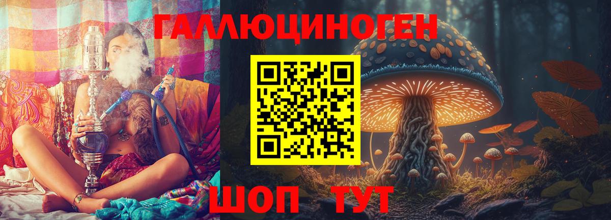 Псилоцибиновые грибы прущие грибы Ачинск